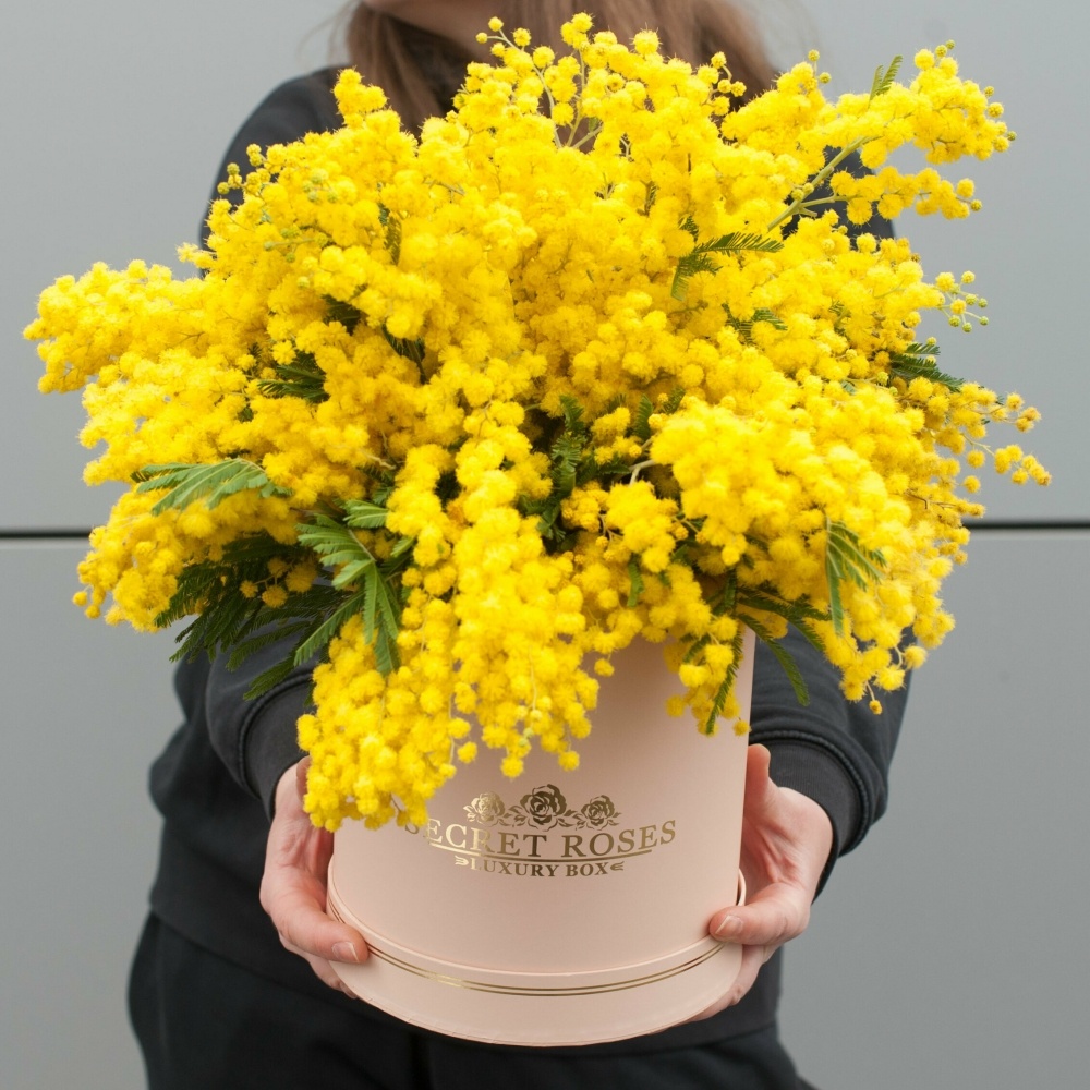 

Шляпная коробка с мимозой