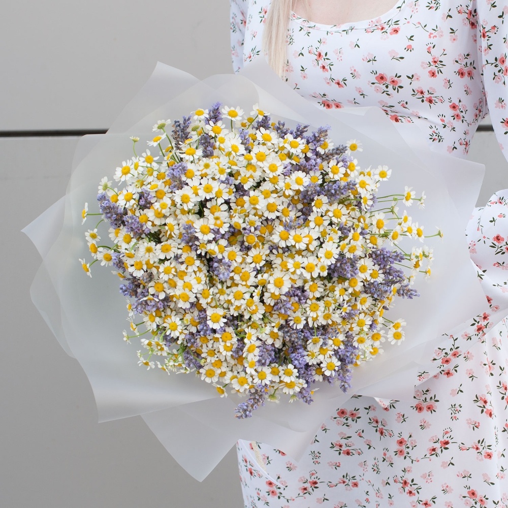 

Лавандовое лето