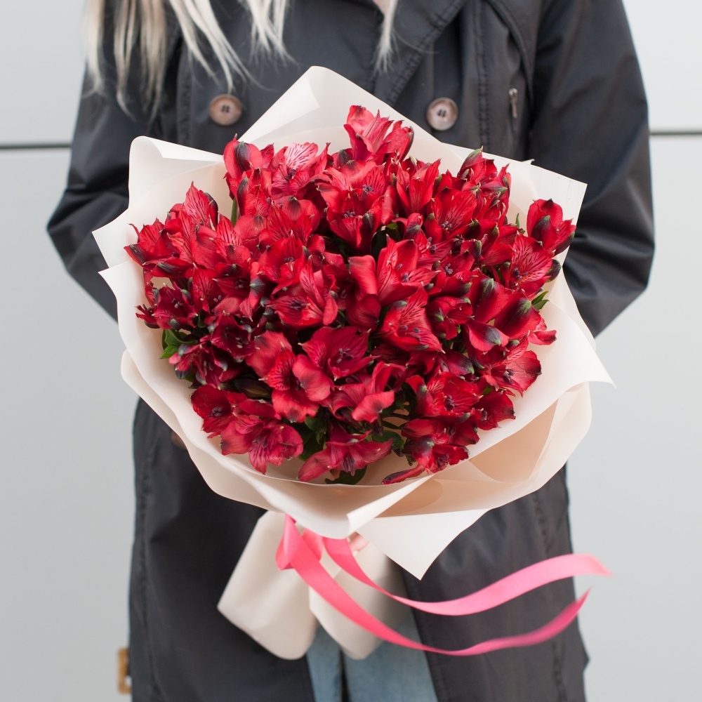 

Красная альстромерия