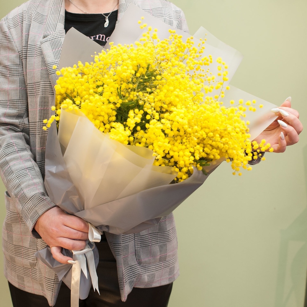 

Итальянская мимоза