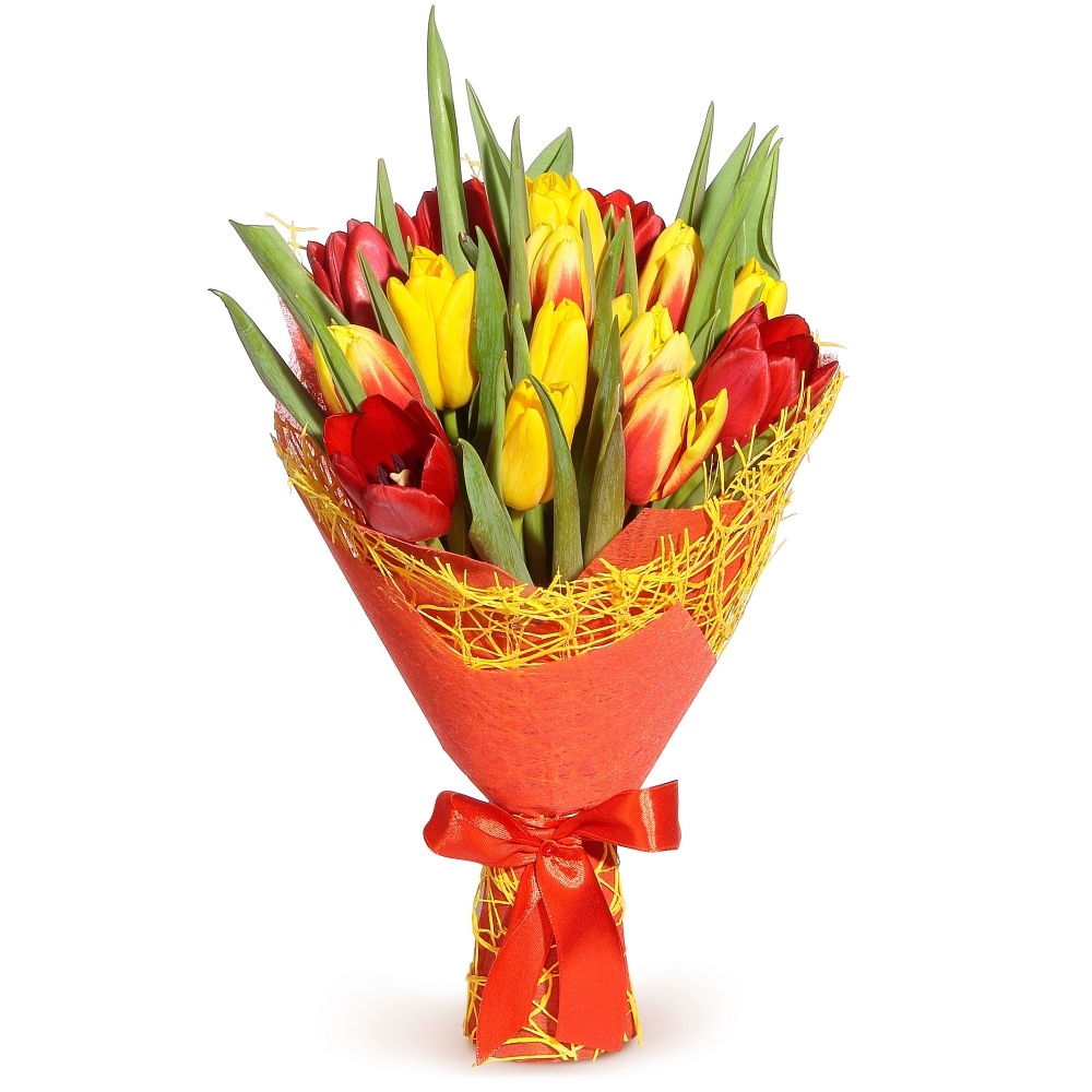 

Тюльпаномания