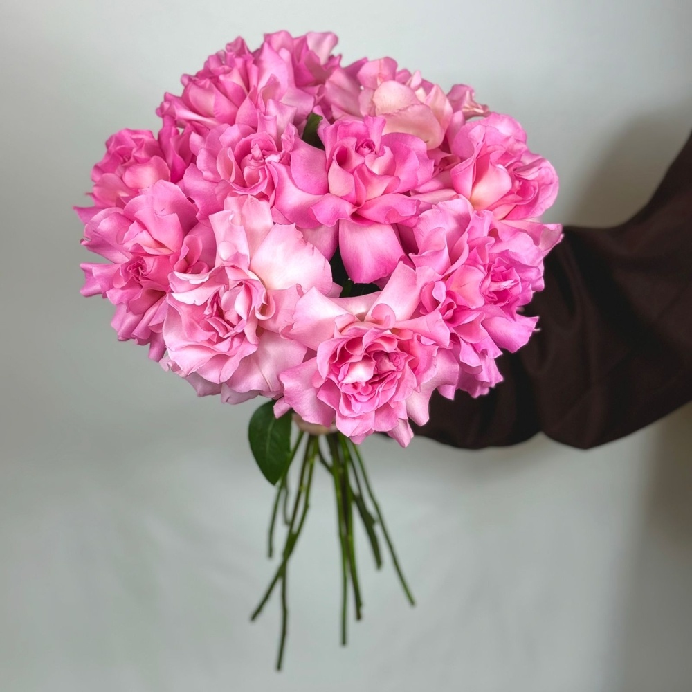 

11 нежно-розовых французских роз