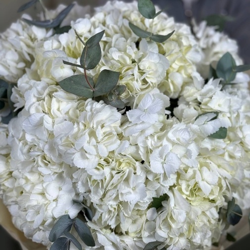 Snow-white hydrangea - image of a bouquet 4