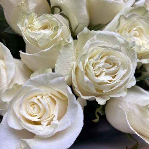 Нежный букет из 51 розы  - изображение букета 3