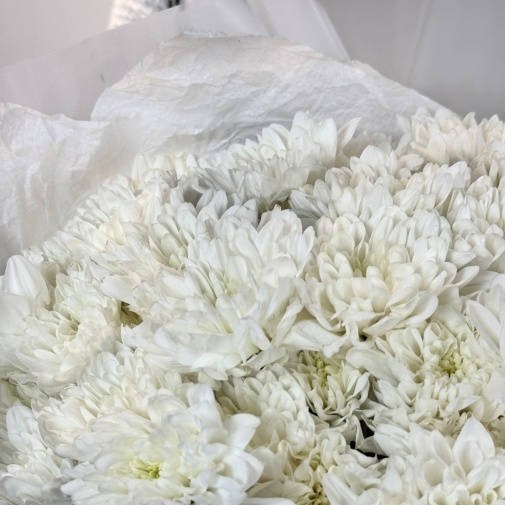 Букет из 25 хризантем  - изображение букета 4