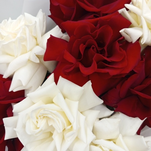 Bouquet of 9 Ecuadorian roses - image of a bouquet 3