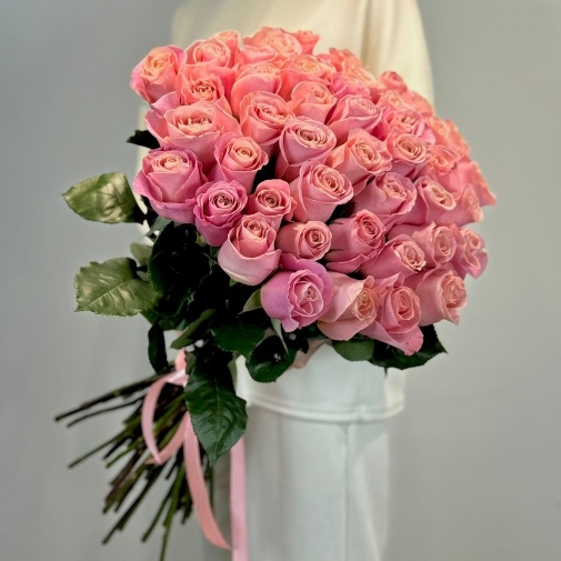 Rose Ecuador Hermosa (60 cm)