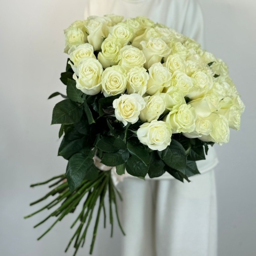 Роза Эквадор белая (60 см)