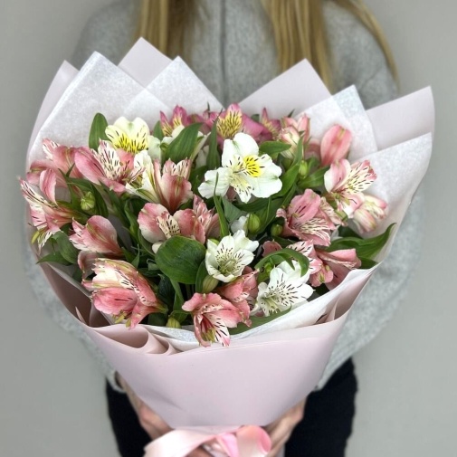 Mono Alstroemeria (9 pcs)