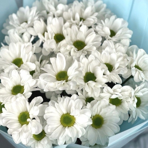 Bouquet of chamomile chrysanthemums - image of a bouquet 2