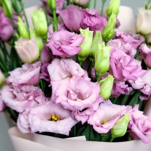 Lisianthus pink (11 pcs) - image of a bouquet 4