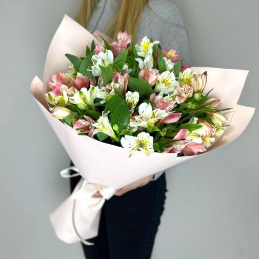 Mono Alstroemeria (19 pcs)