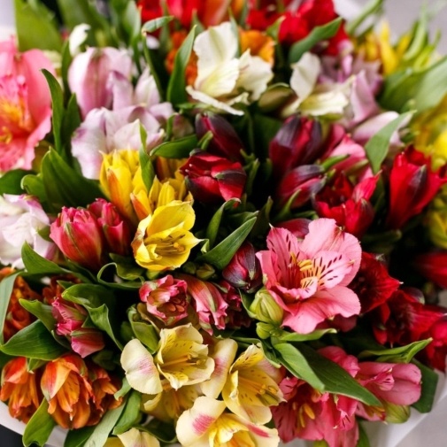 15 Alstroemeria MIX - image of a bouquet 2