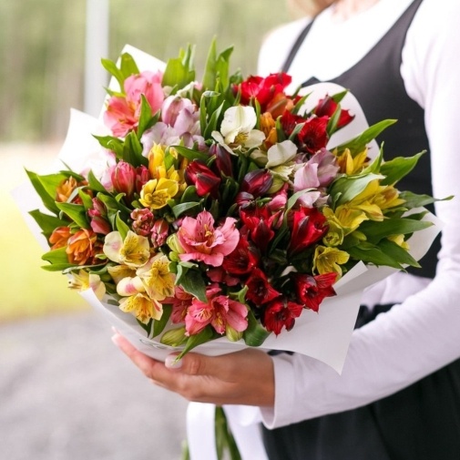 15 Alstroemeria MIX