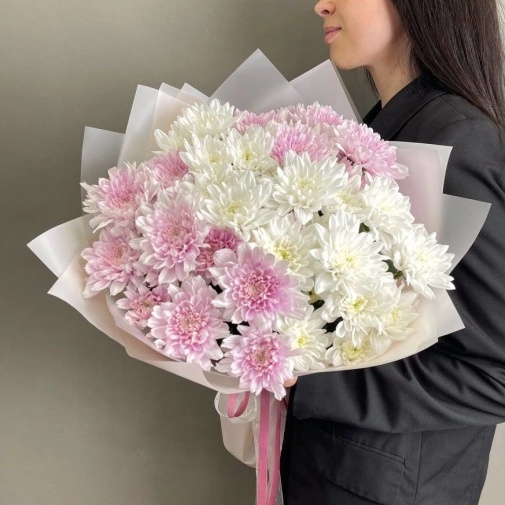 Нежные Хризантемы