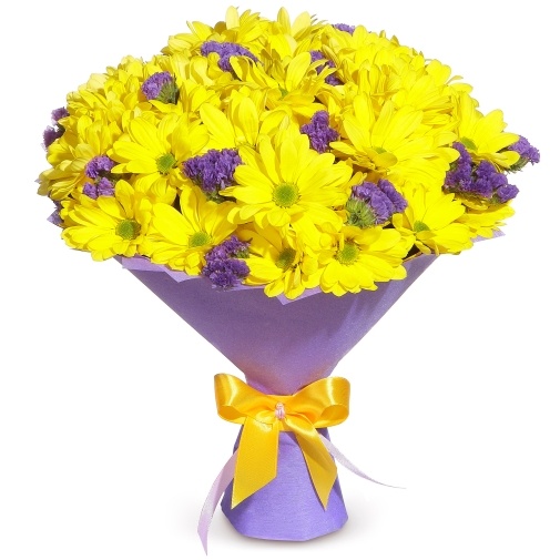 Счастливая история: Хризантемы и статица