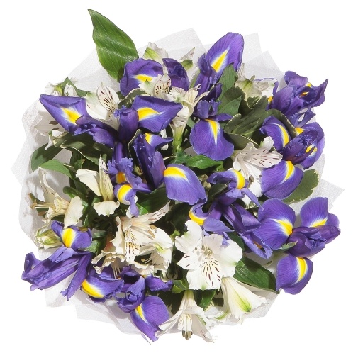 Ривьера: Ирисы и альстромерия - изображение букета 2