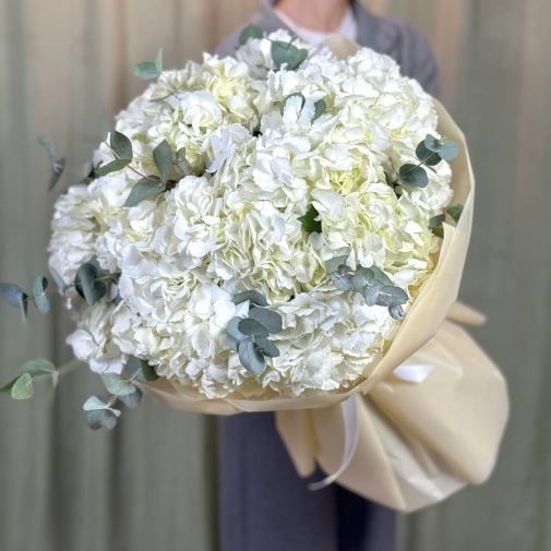 Snow-white hydrangea - image of a bouquet 3