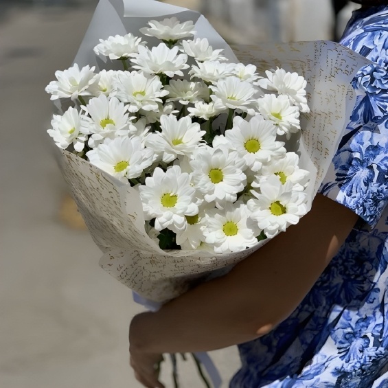 Хризантема кустовая белая