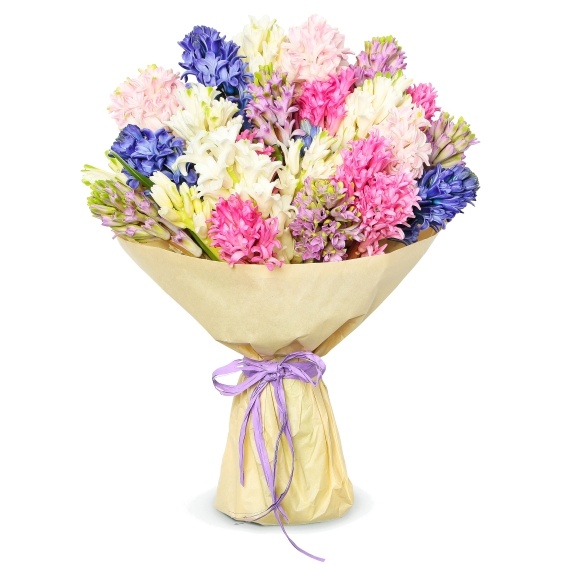 Прелестные гиацинты