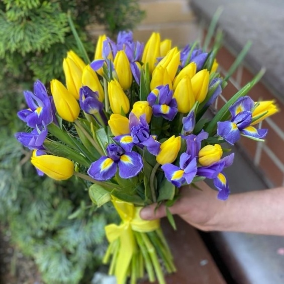 Yellow Tulips and Irises