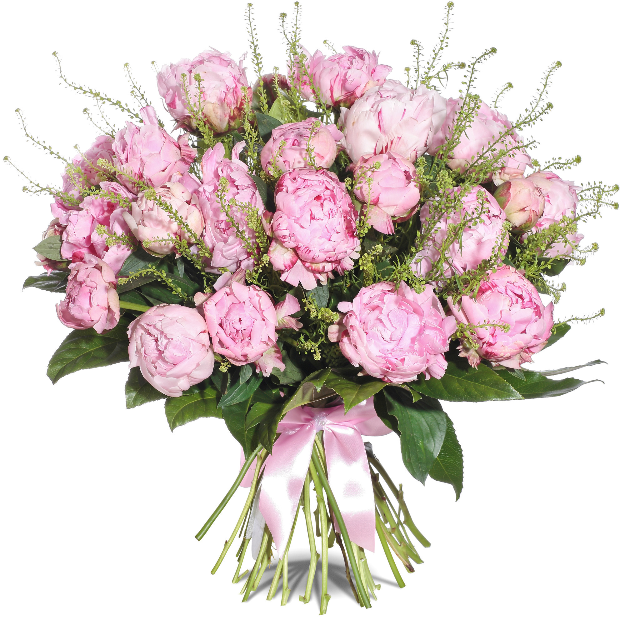 Пионовая любовь: Пионы