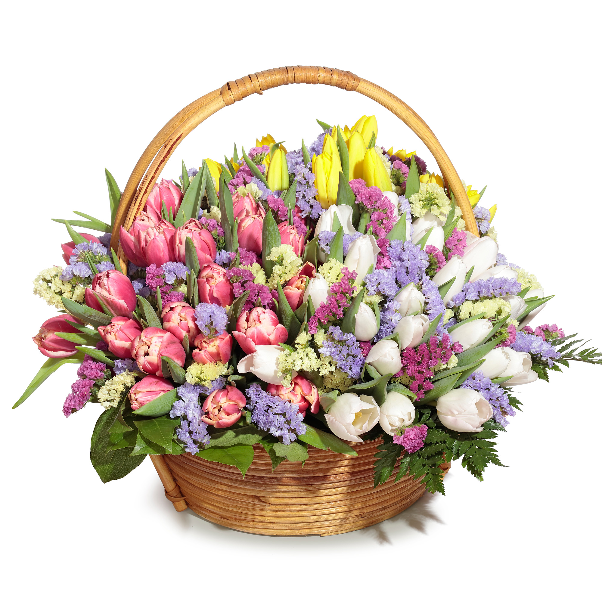 Тюльпанная поляна: Тюльпаны и статица